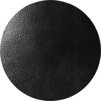 01 Antique Leather